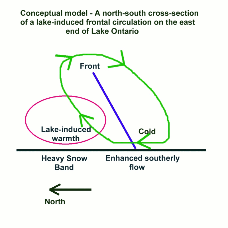 Conceptual Model